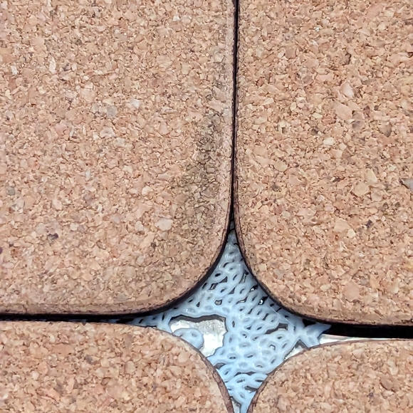 Aynsley Somerset Fruit & Flower Cork Backed Set Of 6 8.5 x 7.5" Placemats - Picture 14 of 14